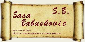 Saša Babušković vizit kartica